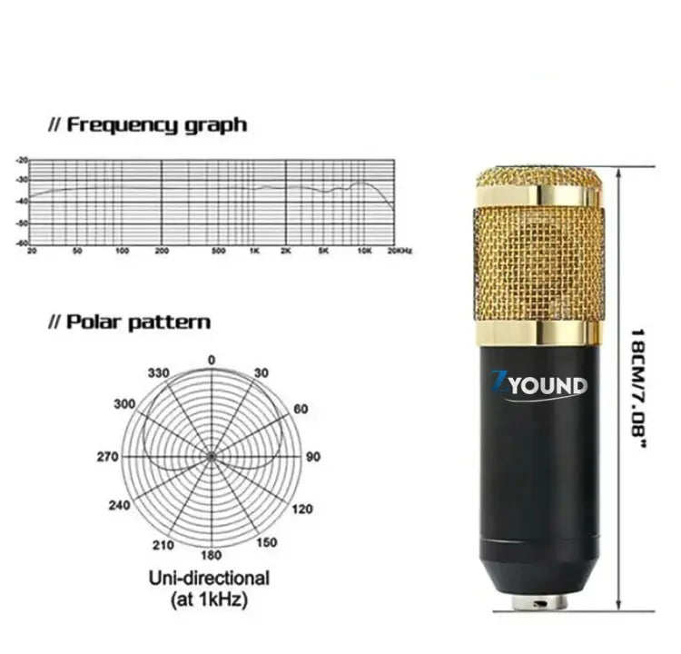 Professional condenser Microphone