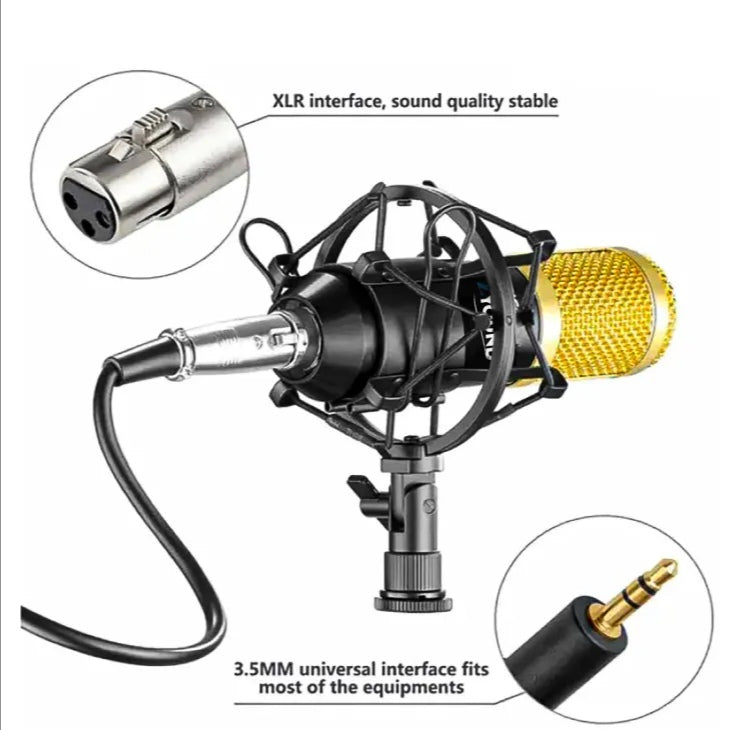 Professional condenser Microphone