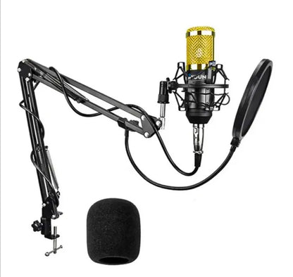 Professional condenser Microphone