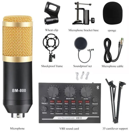 Professional condenser Microphone