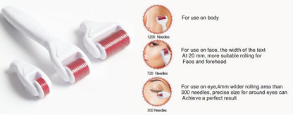 4 in 1 Derma Roller